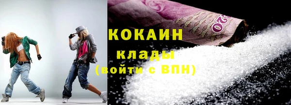 spice Богородицк