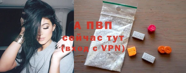 spice Богородицк