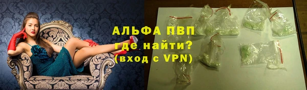 амф Богданович