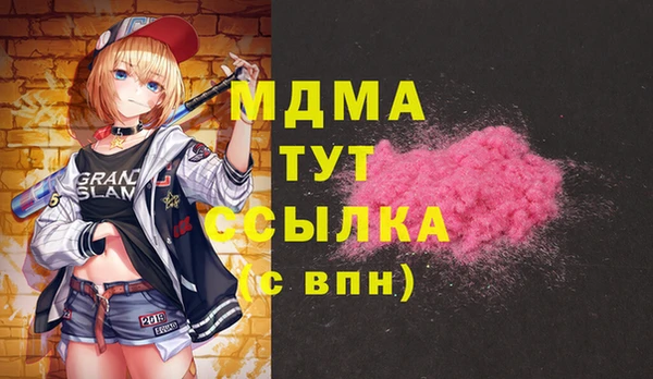 spice Богородицк