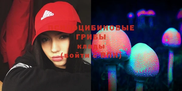 гидропоника Богородск