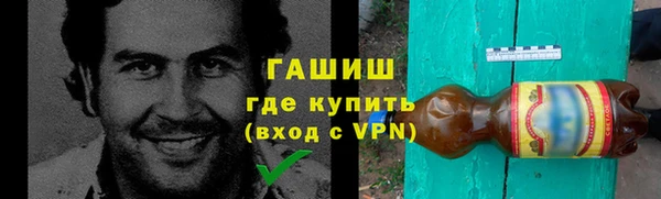 spice Богородицк
