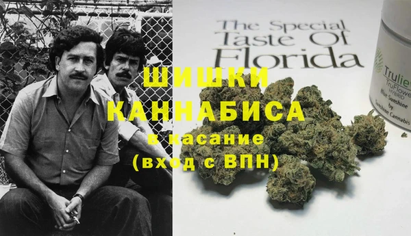 амф Богданович