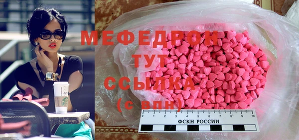 spice Богородицк