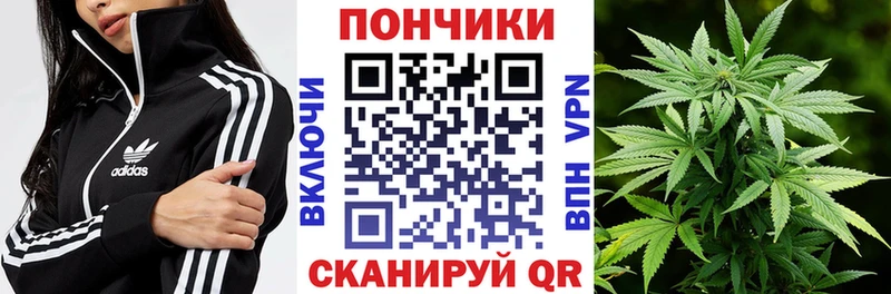 Бошки Шишки Ganja  где можно купить наркотик  Приволжский 